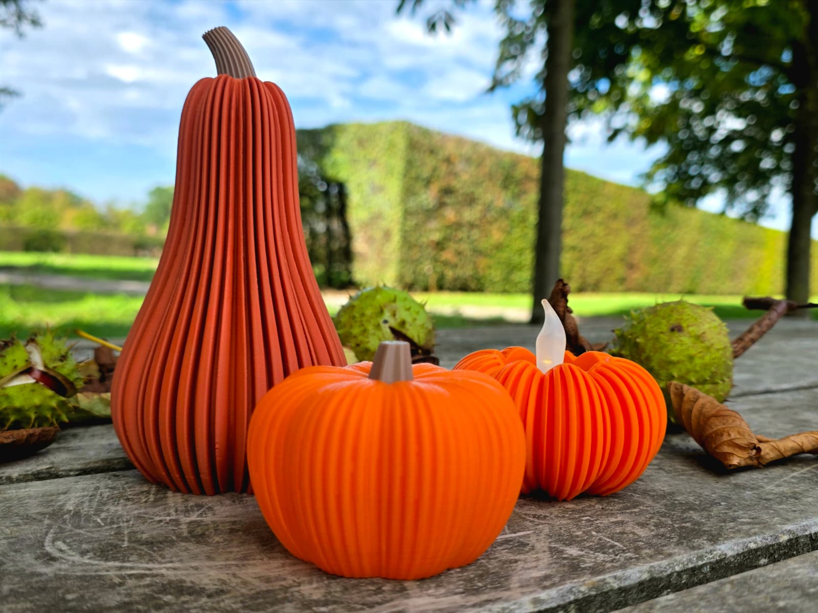 Butternut-Kürbis