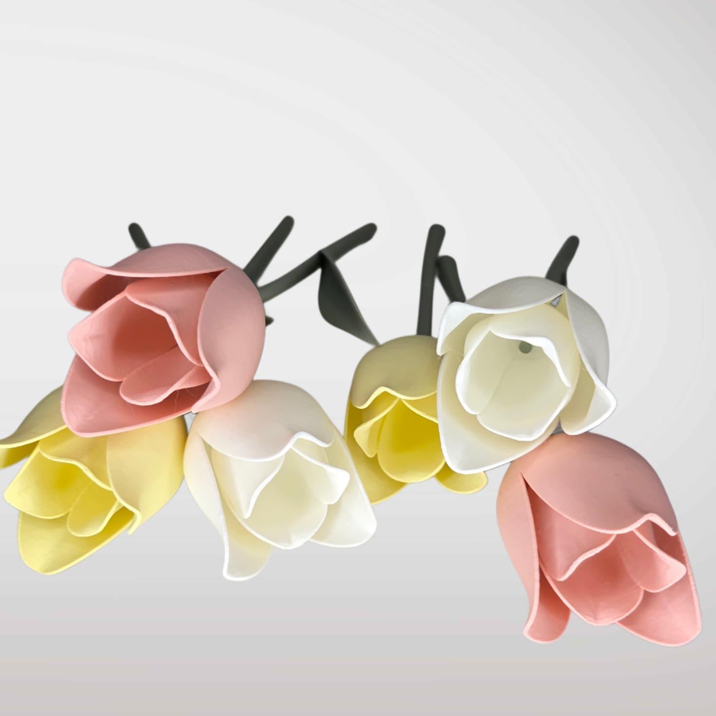 Realistic Evergreen Tulpe