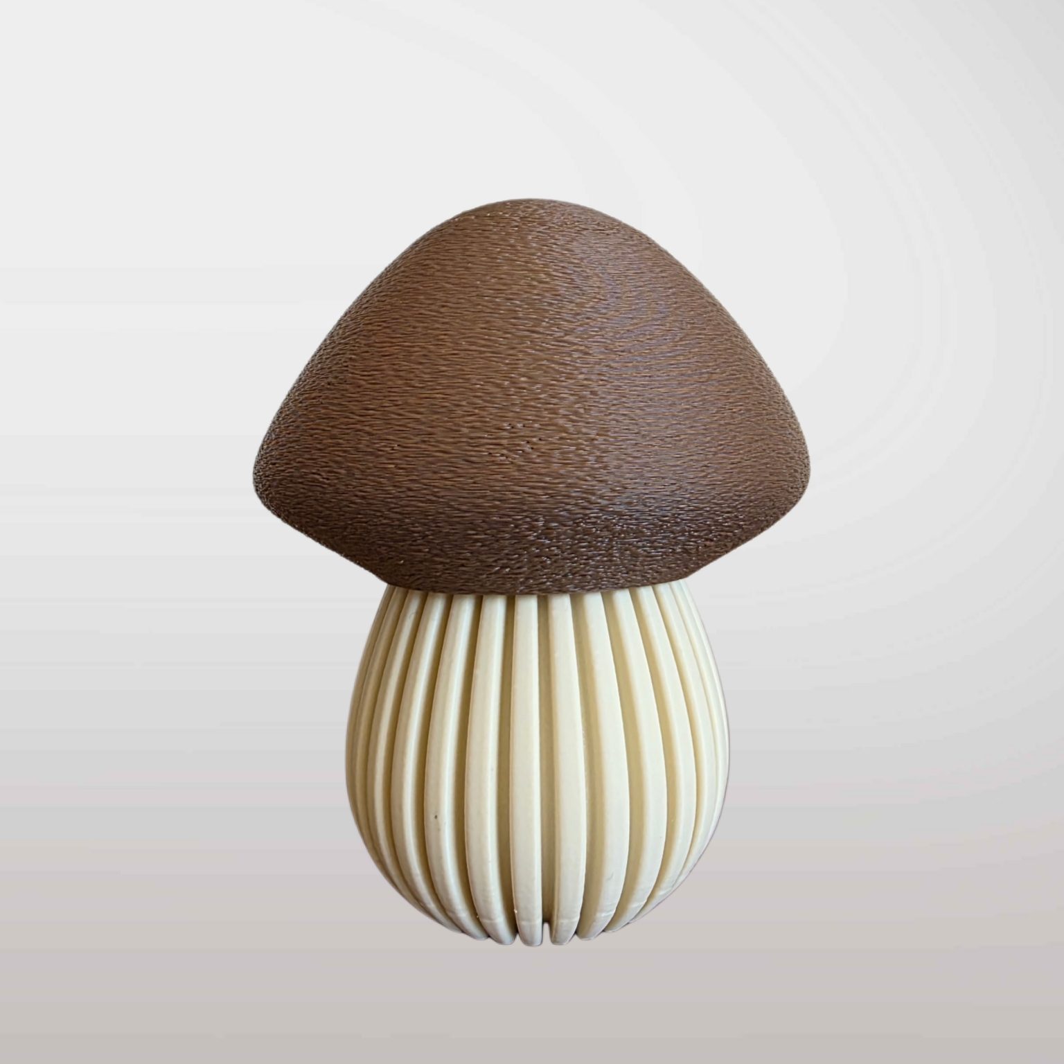 Pilz Laterne mittel