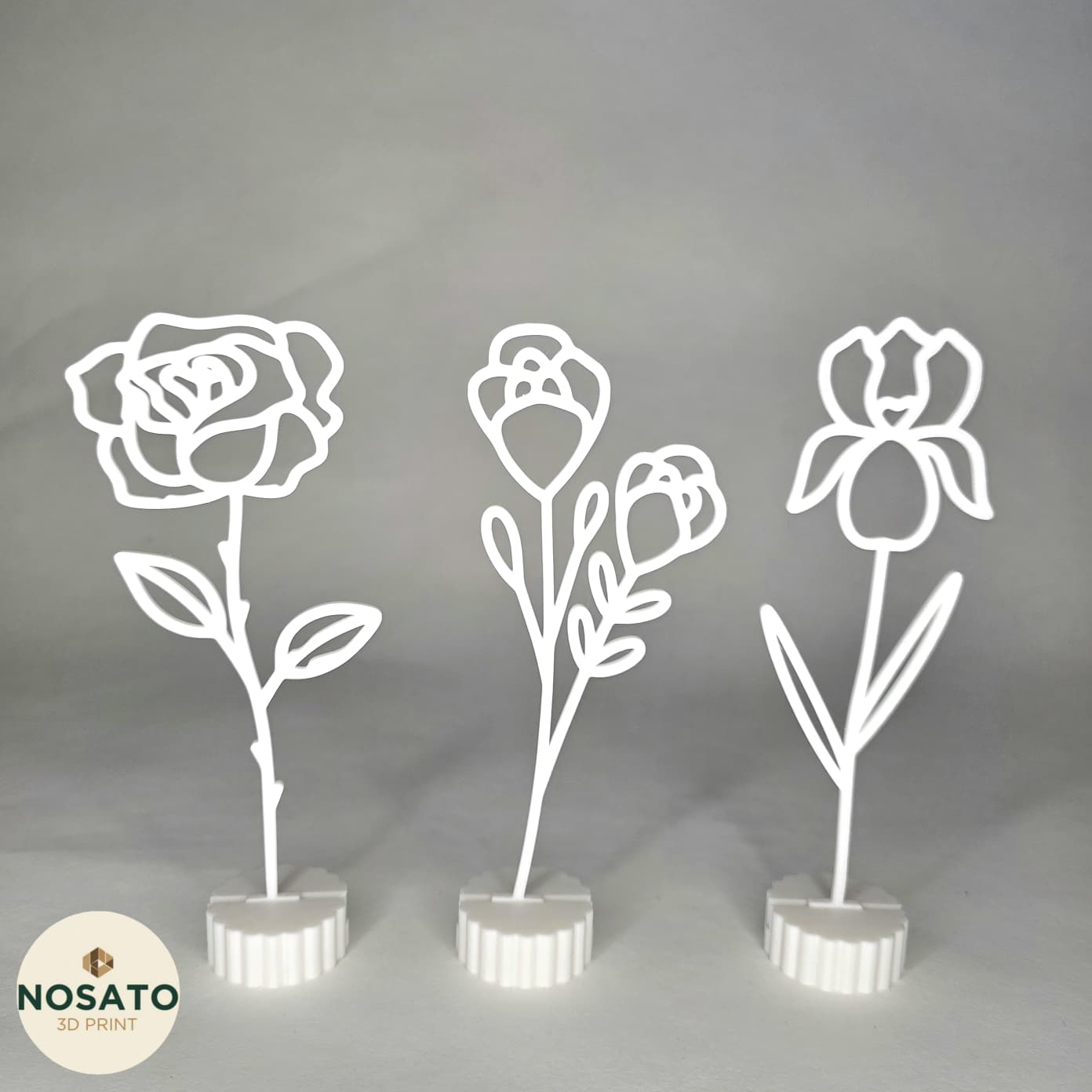 Evergreen - 3er Bundle